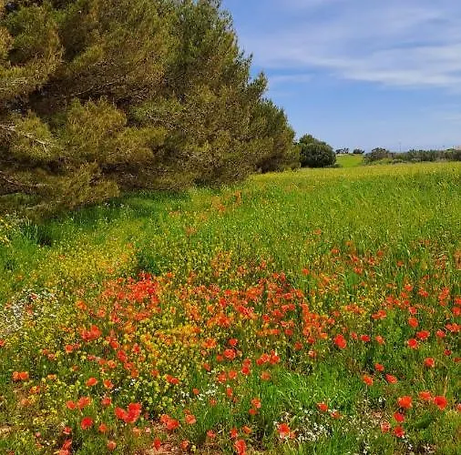 A 20 Passi Dal Mare Otranto
